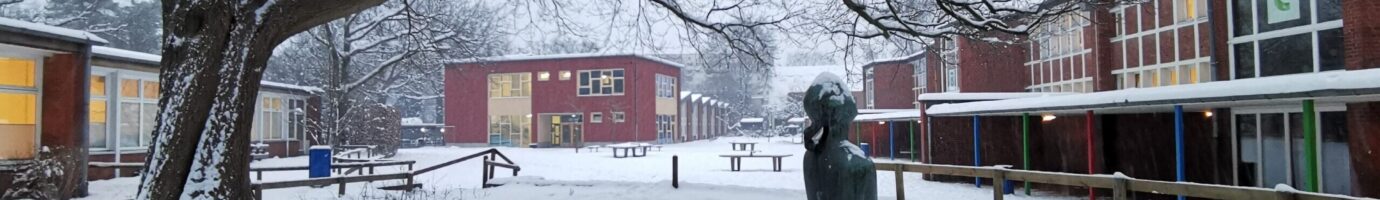 Bücherflohmarkt 2023